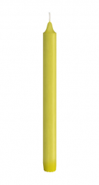 Kronljus 25cm Kiwi i gruppen Handla efter produkt / Ljus / Kronljus & Antikljus hos Duni AB (195783)