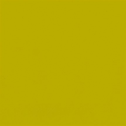 Kaffeservett 3-lagers Kiwi 24x24cm i gruppen Handla efter produkt / Servetter / Kaffeservetter hos Duni AB (148735r)