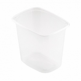 Plastlåda 500ml Rektangulär Delipack i gruppen Handla efter produkt / Övrigt / Boxar & Matlådor hos Duni AB (156420r)