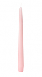 Antikljus 25cm Mellow Rose i gruppen Handla efter produkt / Ljus / Kronljus & Antikljus hos Duni AB (174561)