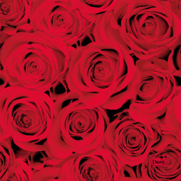 Läs mer om Kaffeservett 3-lagers 24x24cm Red Roses