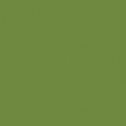 Lunchservett 3-lagers Leaf Green 33x33cm i gruppen Handla efter produkt / Servetter / Lunchservetter hos Duni AB (186359)