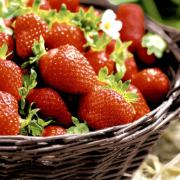 Läs mer om Lunchservett 3-lagers 33x33cm Strawberries