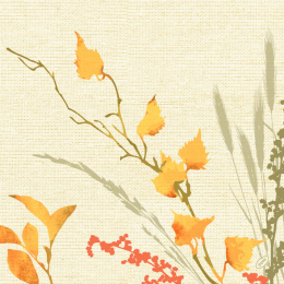 Middagsservett Dunisoft 40x40cm Fall Beauty i gruppen Handla efter produkt / Servetter / Middagsservett Design hos Duni AB (200747)