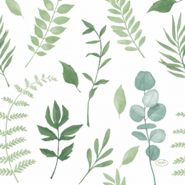 Lunchservett 3-lagers 33x33cm Greenery i gruppen Handla efter produkt / Servetter / Lunchservetter Design hos Duni AB (201208)