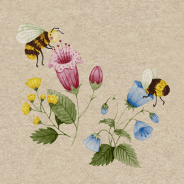 Lunchservett 2-lagers 33x33cm Bee Flowerfull i gruppen Handla efter produkt / Servetter / Lunchservetter Design hos Duni AB (201887)
