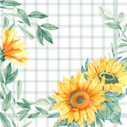 Middagsservett Dunisoft® 40x40cm Sunflower Day i gruppen Handla efter produkt / Servetter / Middagsservett Design hos Duni AB (202462)