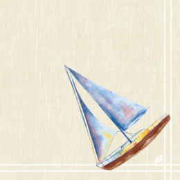 Middagsservett Dunisoft 40x40cm Tide i gruppen Handla efter produkt / Servetter / Middagsservetter hos Duni AB (202542)