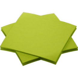 Kaffeservett Bio Dunisoft 20x20cm Kiwi i gruppen Handla efter produkt / Servetter / Bio Dunisoft hos Duni AB (202956)