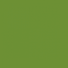 Kaffeservett Bio Dunisoft 20x20cm Leaf Green i gruppen Handla efter produkt / Servetter / Bio Dunisoft hos Duni AB (202957)