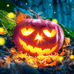 Lunchservett 3-lagers 33x33cm Pumpkin Night i gruppen Handla efter produkt / Servetter / Lunchservetter Design hos Duni AB (203258)