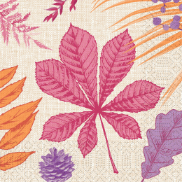 Lunchservett 3-lagers 33x33cm Bright Autumn i gruppen Handla efter produkt / Servetter / Lunchservetter Design hos Duni AB (204412)
