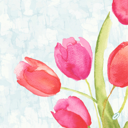 Middagsservett Bio Dunisoft 40x40cm Painted Tulips i gruppen Handla efter produkt / Servetter / Bio Dunisoft hos Duni AB (206408)