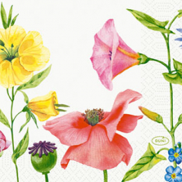Kaffeservetter 3-lagers 24x24cm Flowy Meadow i gruppen Handla efter produkt / Servetter / Kaffeservetter hos Duni AB (210275)