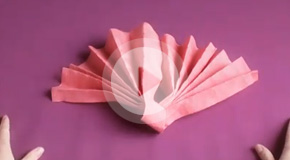 Twisted fan servettbrytning