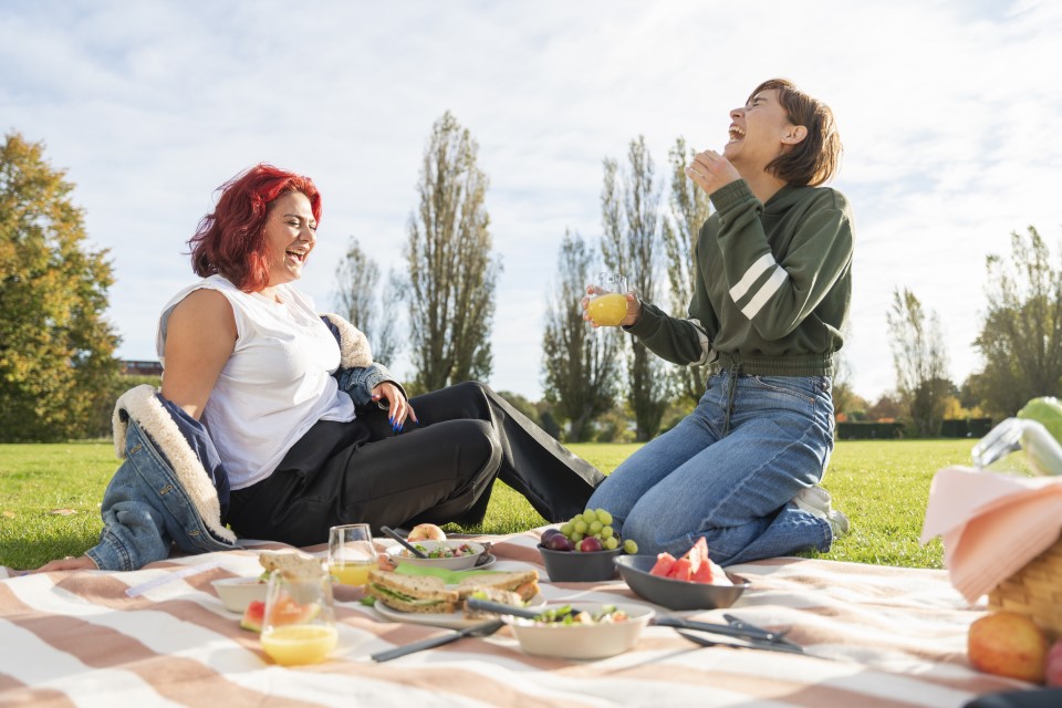 Picknick