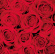 Middagsservett Dunisoft Red Roses 40x40cm