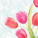 Middagsservett Bio Dunisoft 40x40cm Painted Tulips